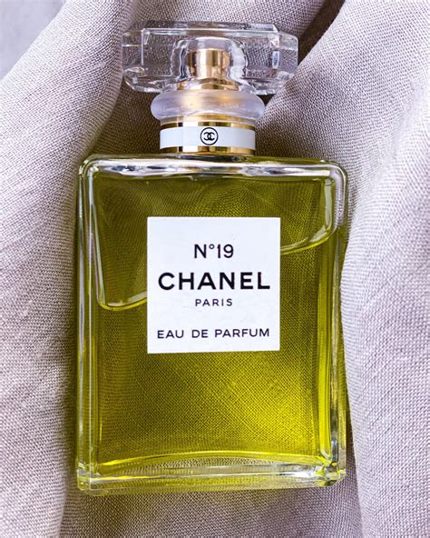 profumi simili chanel 19|Similar Perfumes to Chanel Chanel No 19 for women.